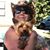 Debbie Murray's profile image
