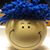 Mark Allgeier's profile image