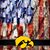 Scott Thomsen's profile image