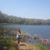 Jacqueline D Arndt's profile image