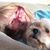 J Lynn Apple Noetzel's profile image