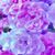 Traci Fearing's profile image