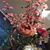 Virgie Garcia's profile image