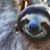 Lecia Chia Mixon's profile image