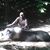 Allan Perunko's profile image