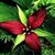 Tanya Hauptfleisch Palmer's profile image