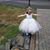 Mary Kyle Monahan's profile image