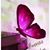 Norma Lichis Gonzalez's profile image