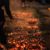 Summer Hanoush's profile image