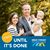 Katie Willmon Scott's profile image