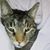 Lori Heffelfinger's profile image