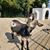 Annmarie Pappalardo-Boissoneau's profile image
