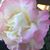 Beth Lilly's profile image