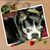 Nancy Gilbert's profile image