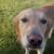 Tony Sether's profile image