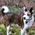 Tracey McHugh's profile image