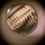 Nicola Vinciguerra's profile image