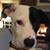 Jill Betuker's profile image