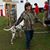 Coleen Frankenfield's profile image