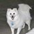 Julie Marie Totsch's profile image