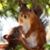 Berny Byrnes's profile image