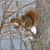 Patsy McQuade's profile image