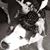 Lisa Fossett Horsley's profile image