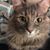 Molly McCormick's profile image