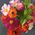 Jenny Bellon George's profile image