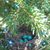 Jenn Nettinga's profile image