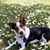 Margie Weicht Martinez's profile image