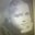 Vicky Akins's profile image