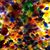 Jeanne Mitchell Alford's profile image