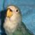 Margaret Ryder's profile image