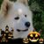 Franki Ward's profile image
