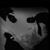 Matt Dex's profile image