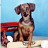 Lucinda E. Scott's profile image