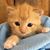 Janice Cooper's profile image