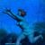 Christiane Sampson Crespo's profile image