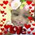 Bobby Alexander's profile image