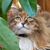 Zooey Johnson's profile image