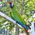 Dakota Deppe's profile image