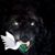 Thomas Armendarez's profile image
