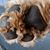 Melody Emery Lamon's profile image