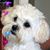 Rita Alexandria's profile image