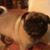 Kathy Powers's profile image