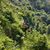 Terie DiMuzio Vickery's profile image