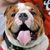 Ray Ladia's profile image