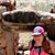 Teri Lynn's profile image