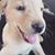 Jennifer Berry Thompson's profile image